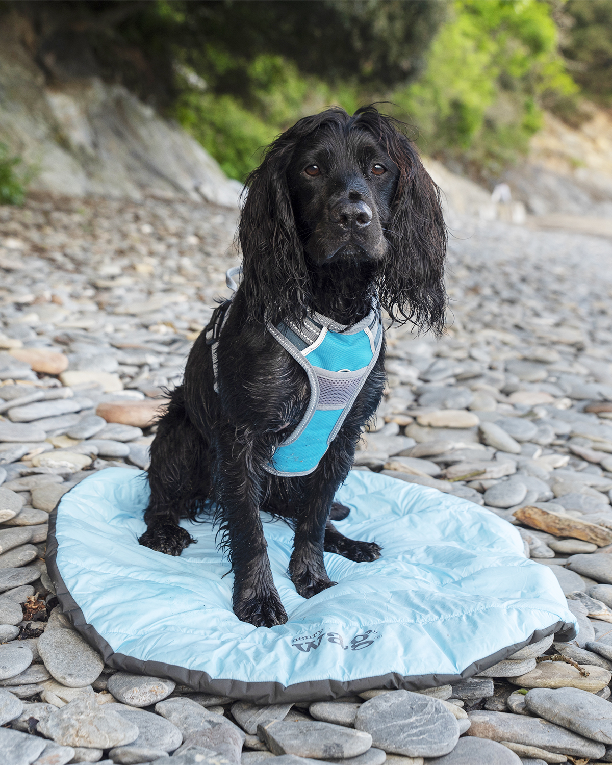 Henry Wag Alpine Travel Snuggle Dog Bed