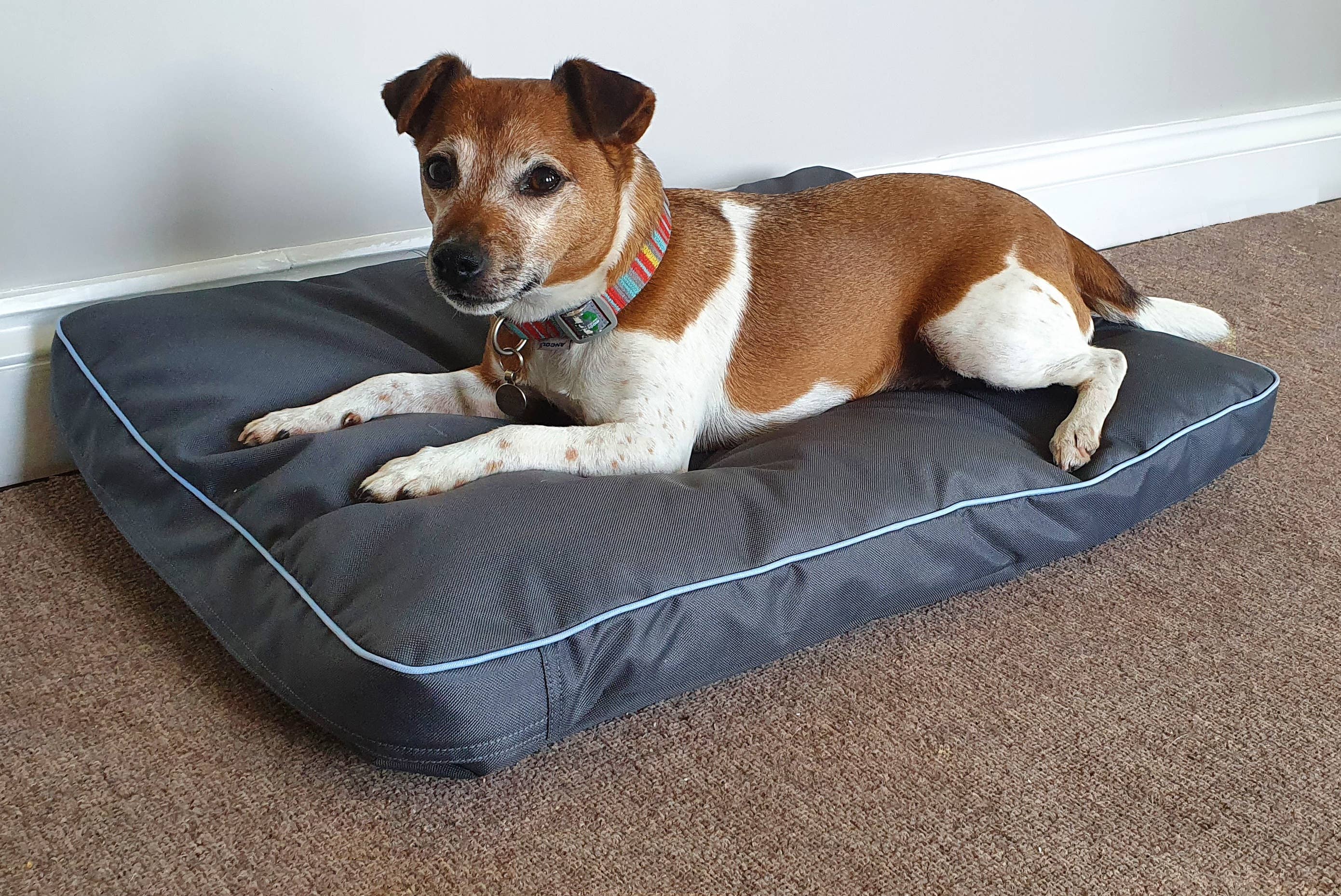 Henry Wag Brecon Adventure Bed