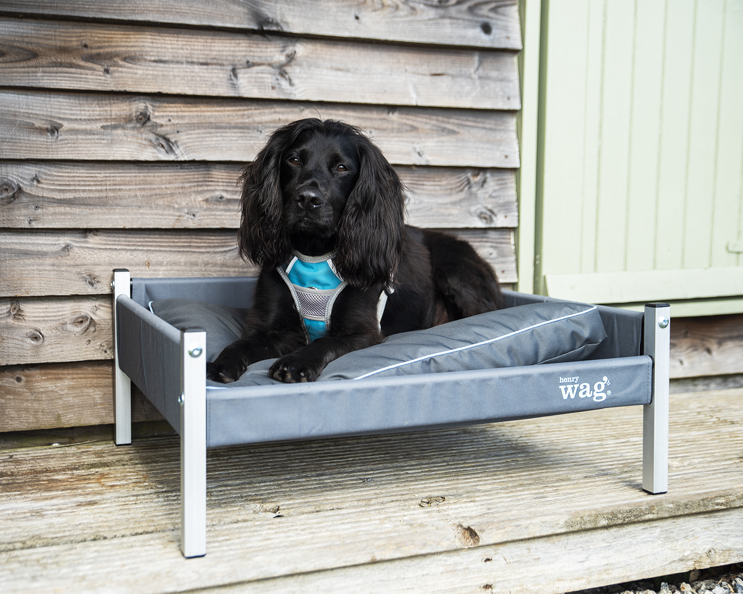 Henry Wag Brecon Adventure Bed