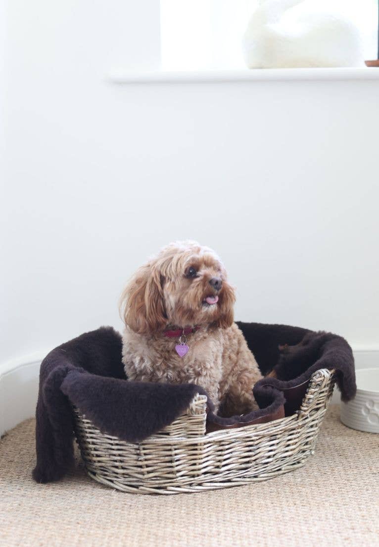 Sheepskin Pet Rug | Various Colours | Singles by Owen Barry