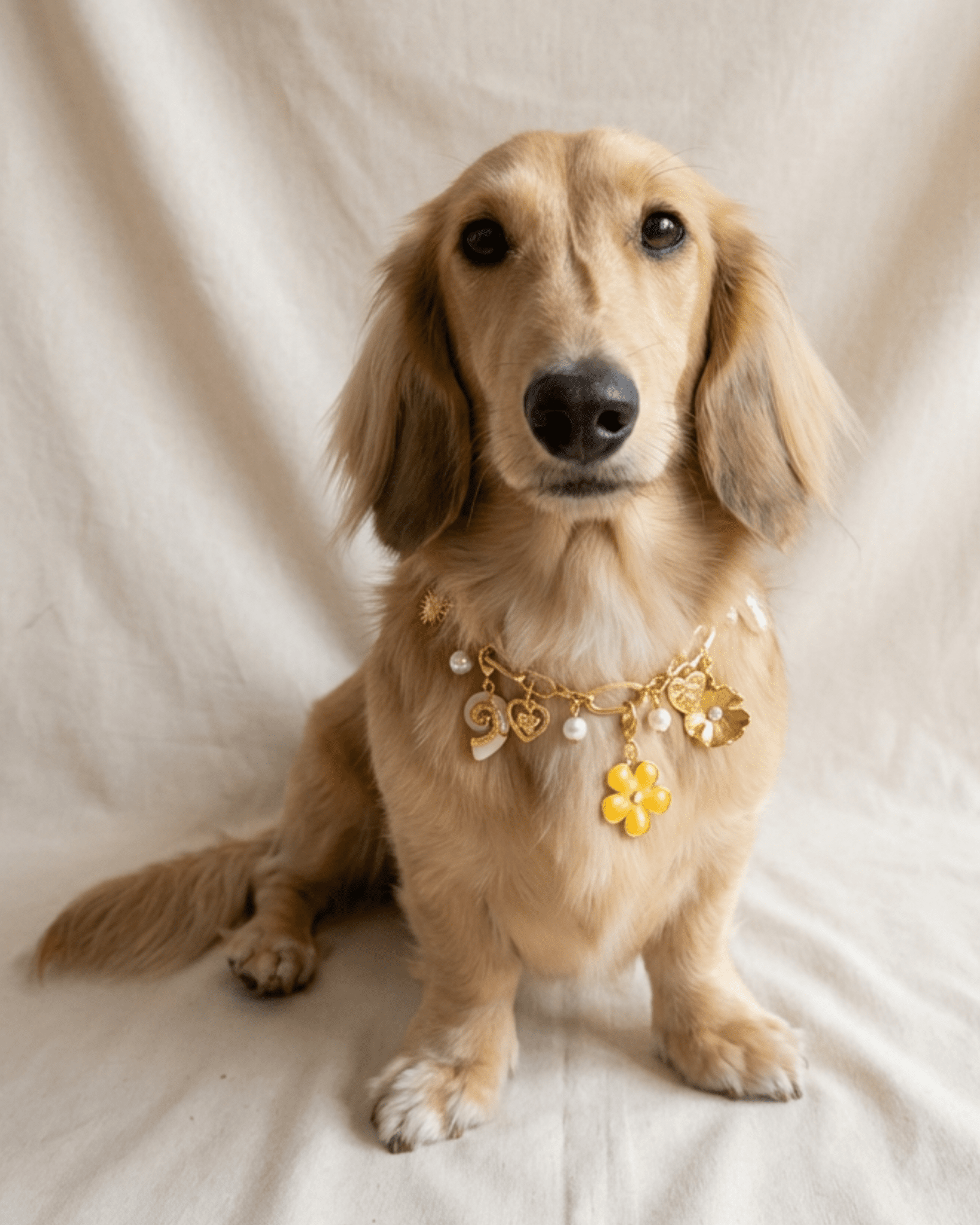 Amelia Necklace &amp; Charm Pack Kit