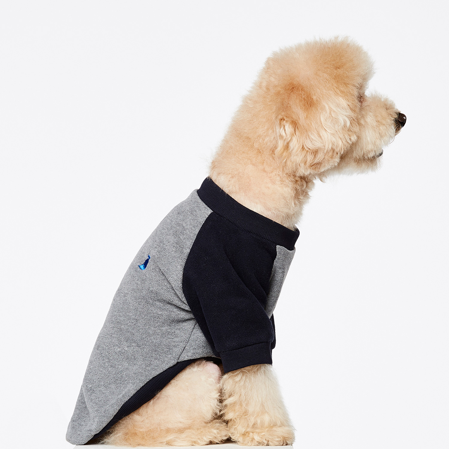 Blinky dog ​​sweatshirt