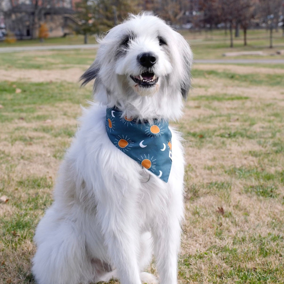 Blue Moon &amp; Lightning Dog Bandana