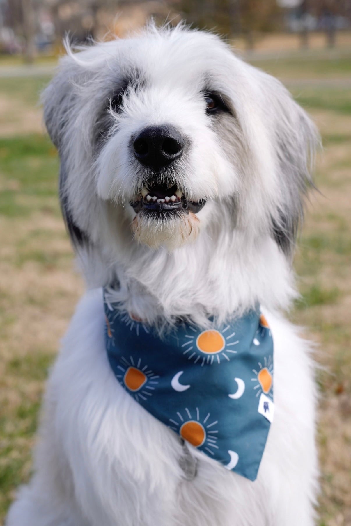 Blue Moon &amp; Lightning Dog Bandana
