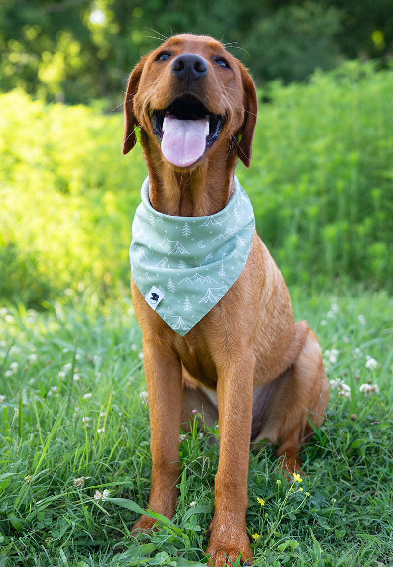 Camping &amp; Smores Dog Bandana