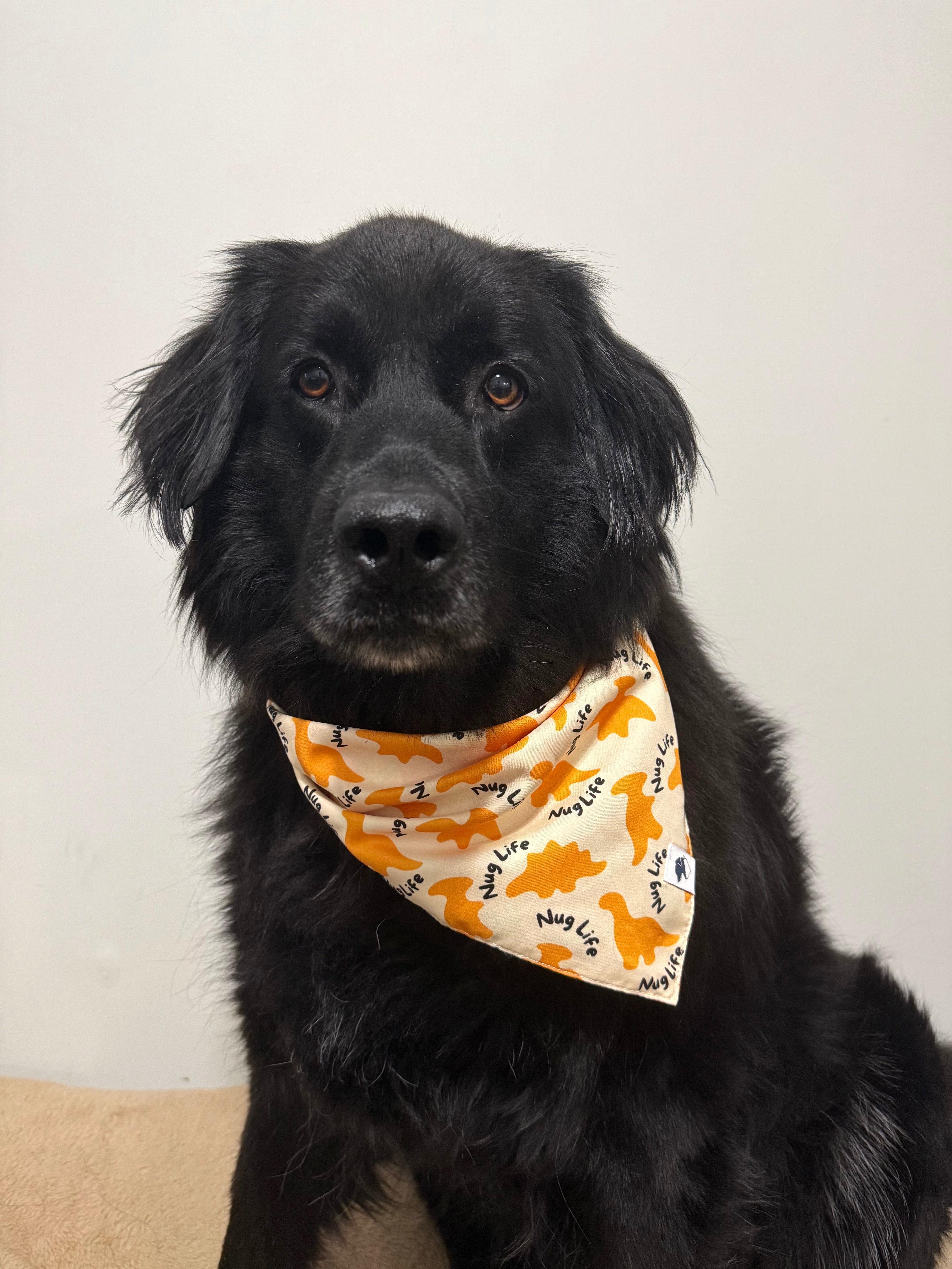 Chicken Nugget Dog Bandana
