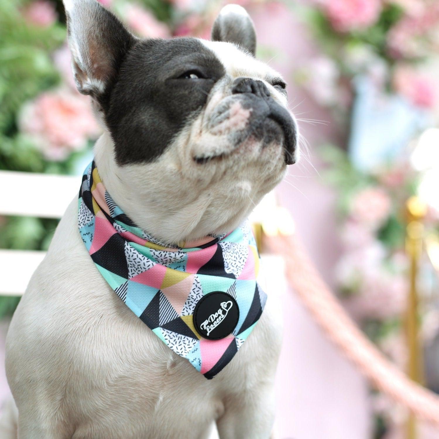 Dog Bandana - Mykonos