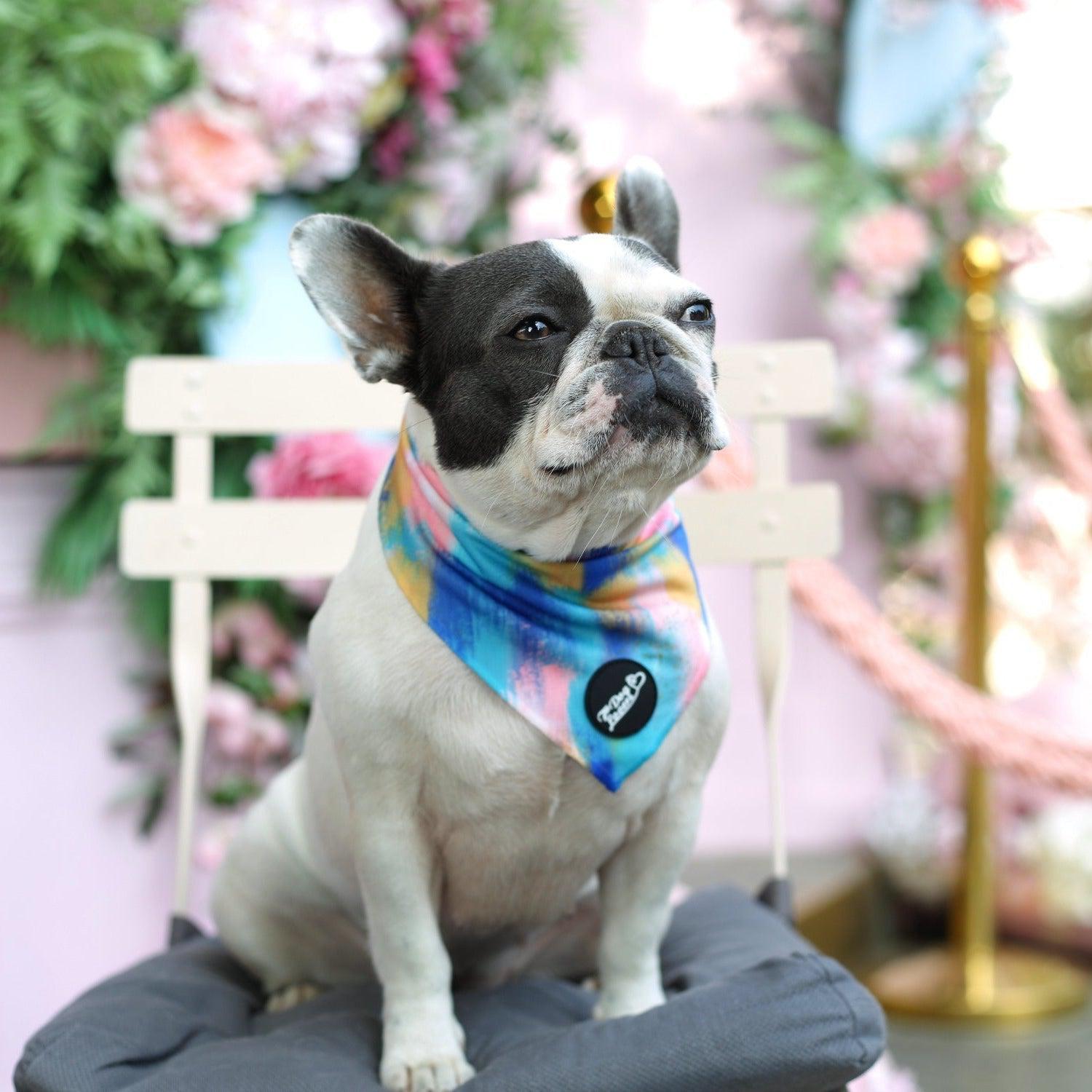 Dog Bandana - The Artist