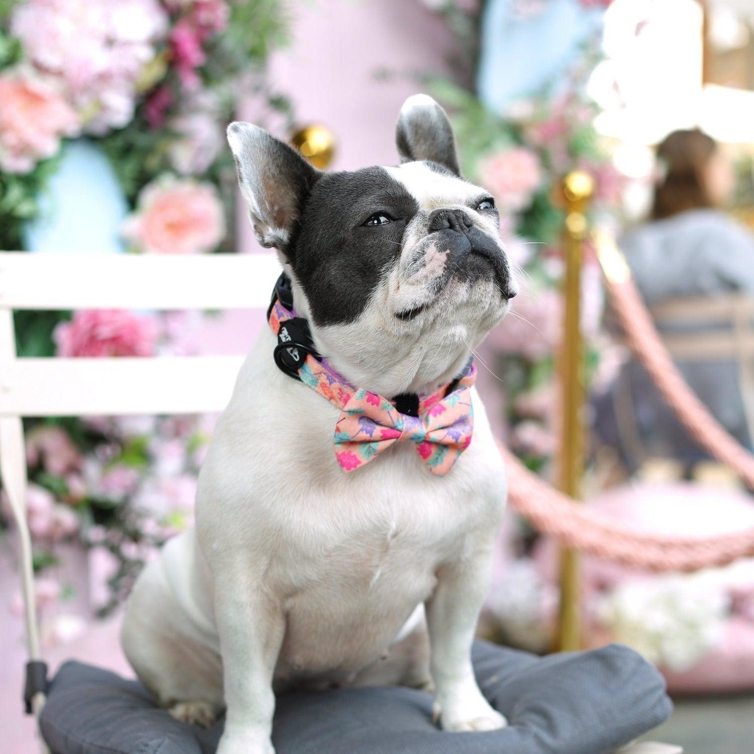 Dog Bow Tie - Fall In Love