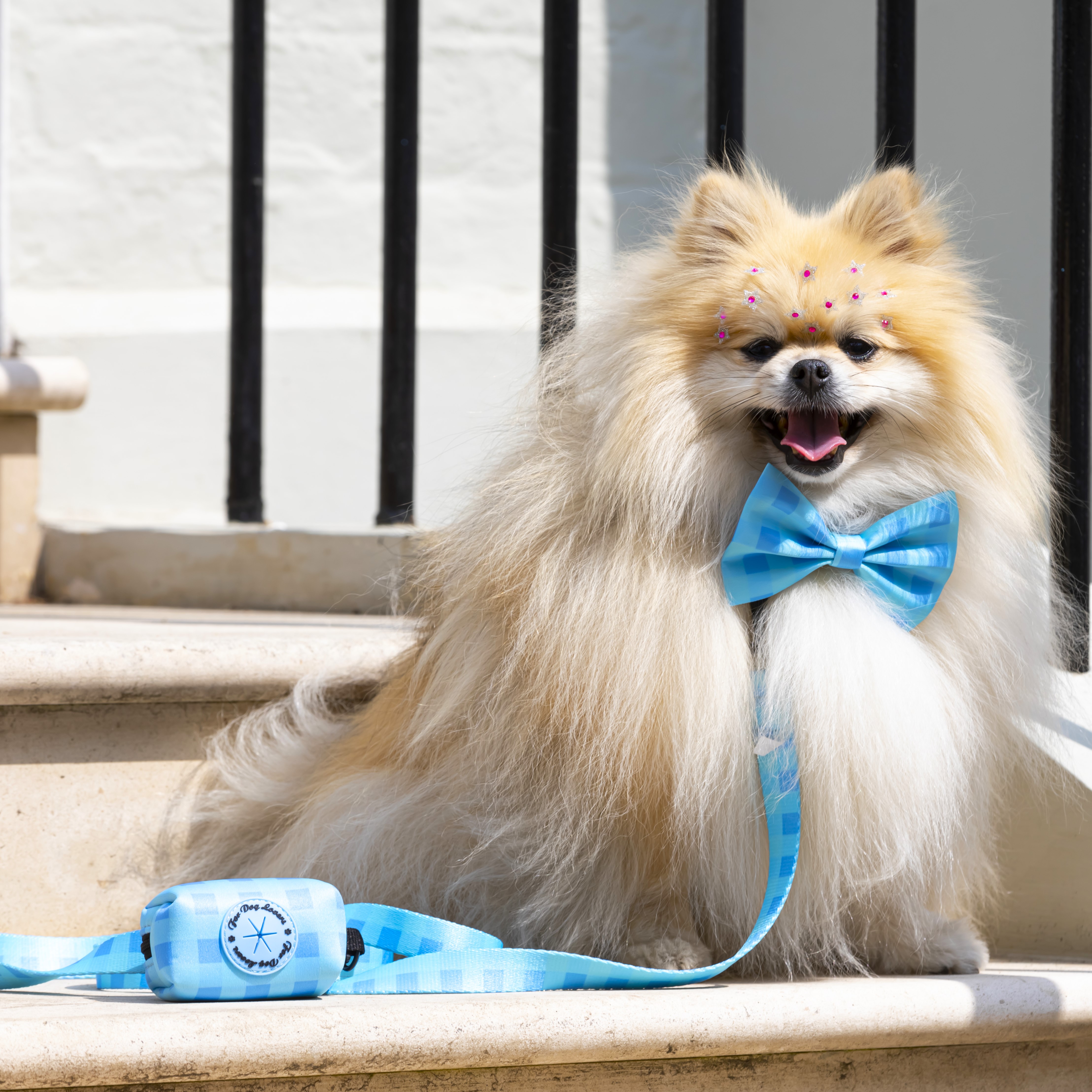 Dog Poo Bag & Treat Dog Holder - Check Me Out