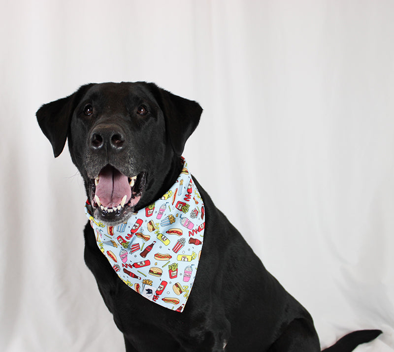 Pizza &amp; Food Dog Bandana