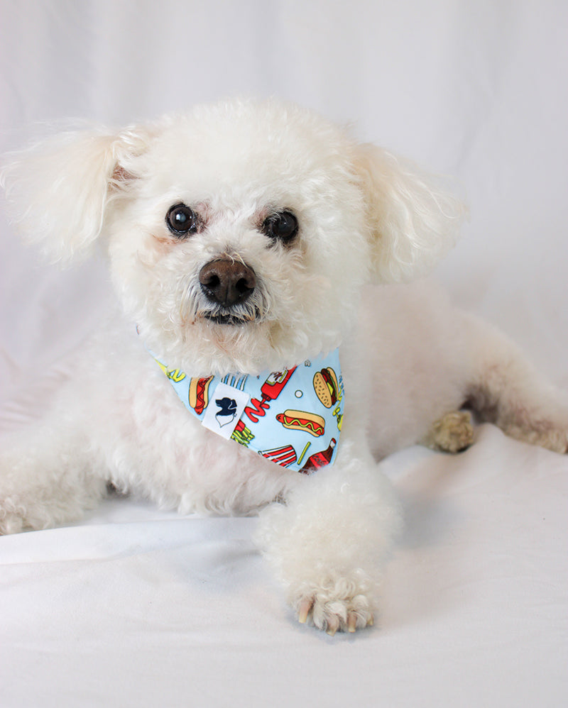 Pizza &amp; Food Dog Bandana