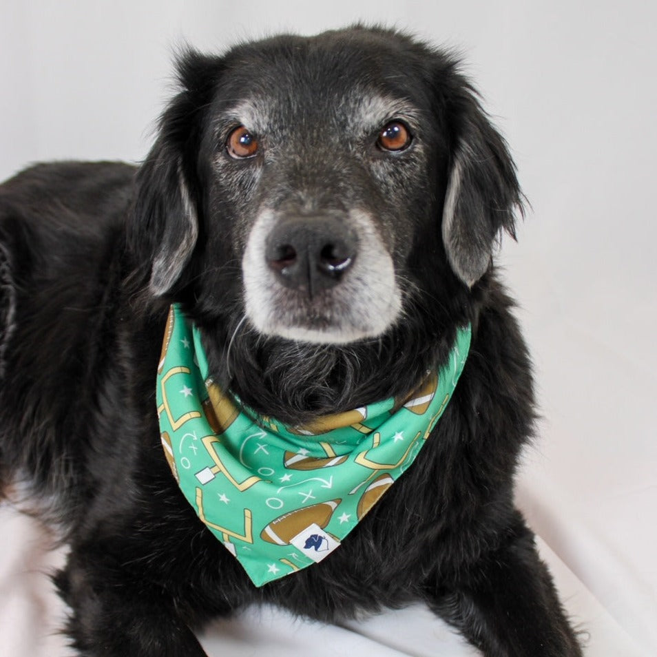 Football &amp; Baseball Dog Bandana