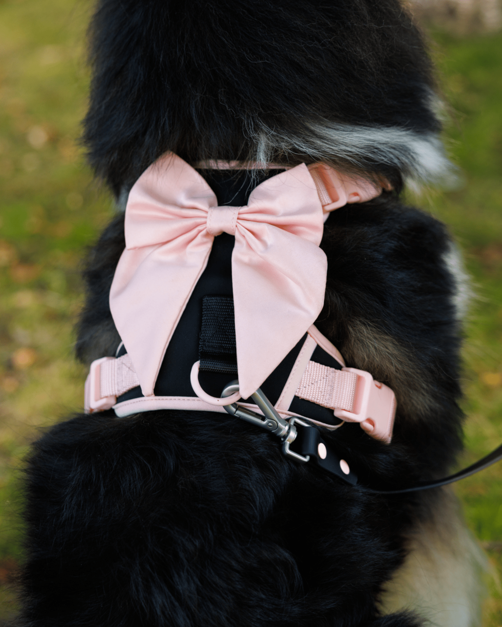 Furry Muse Starter Kit - Ballerina