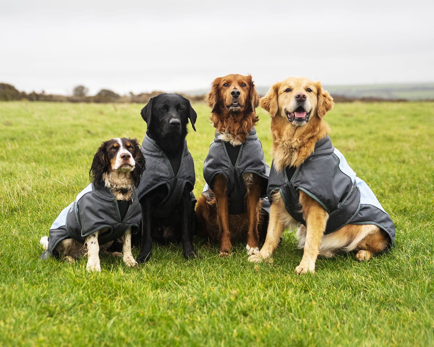 Henry Wag Dog Waterproof Coat