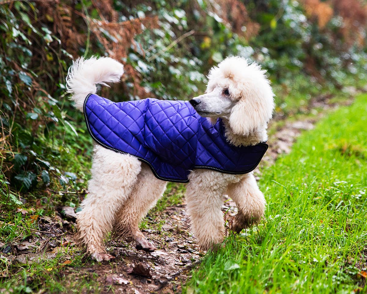 Henry Wag Quilted Dog Jacket