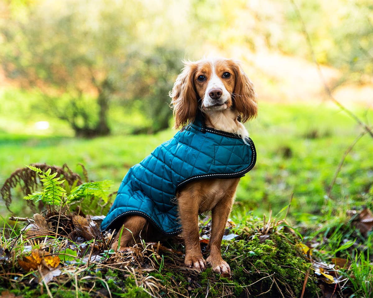 Henry Wag Quilted Dog Jacket