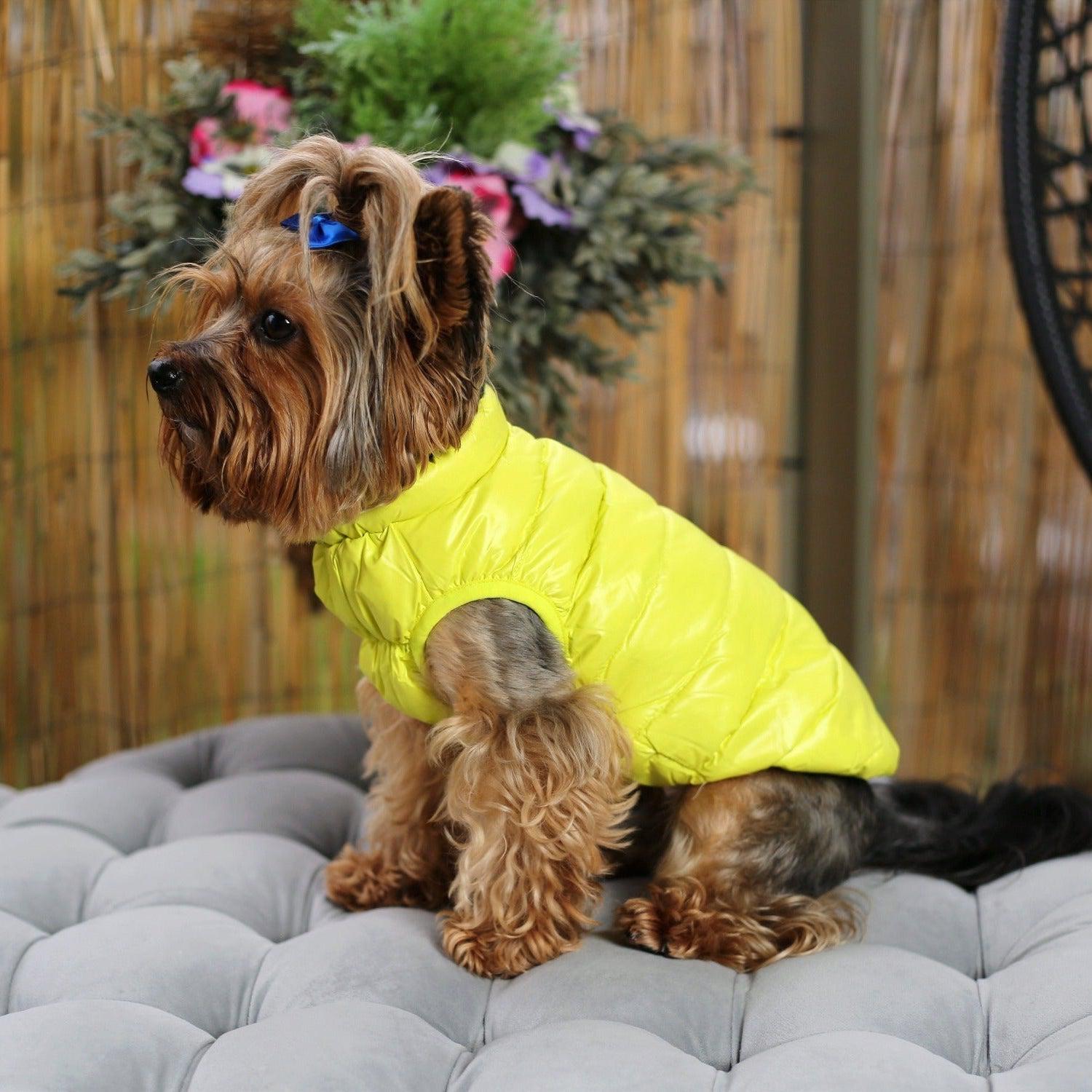 Limited Edition Vest Dog Jacket Neon Green