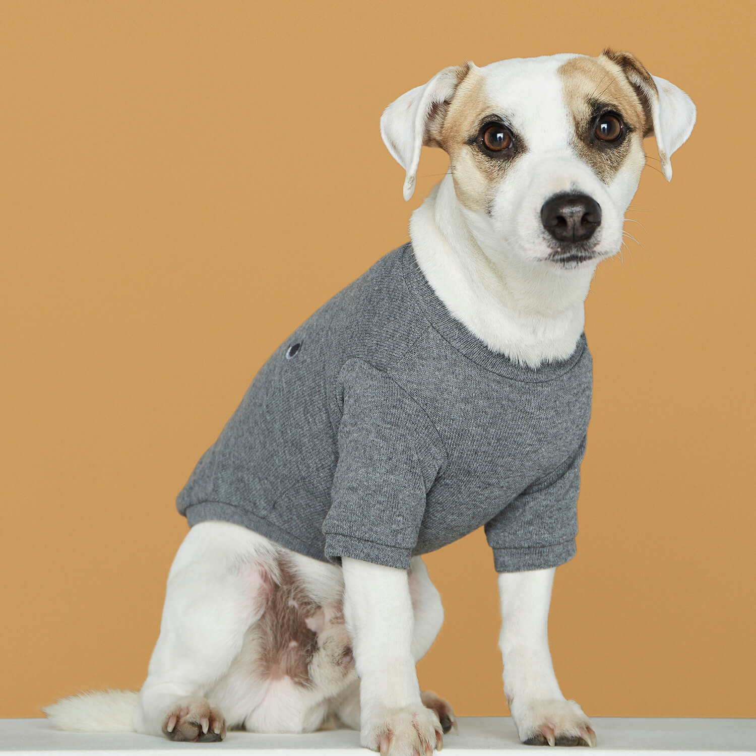 Lisa Eva gray dog ​​t-shirt
