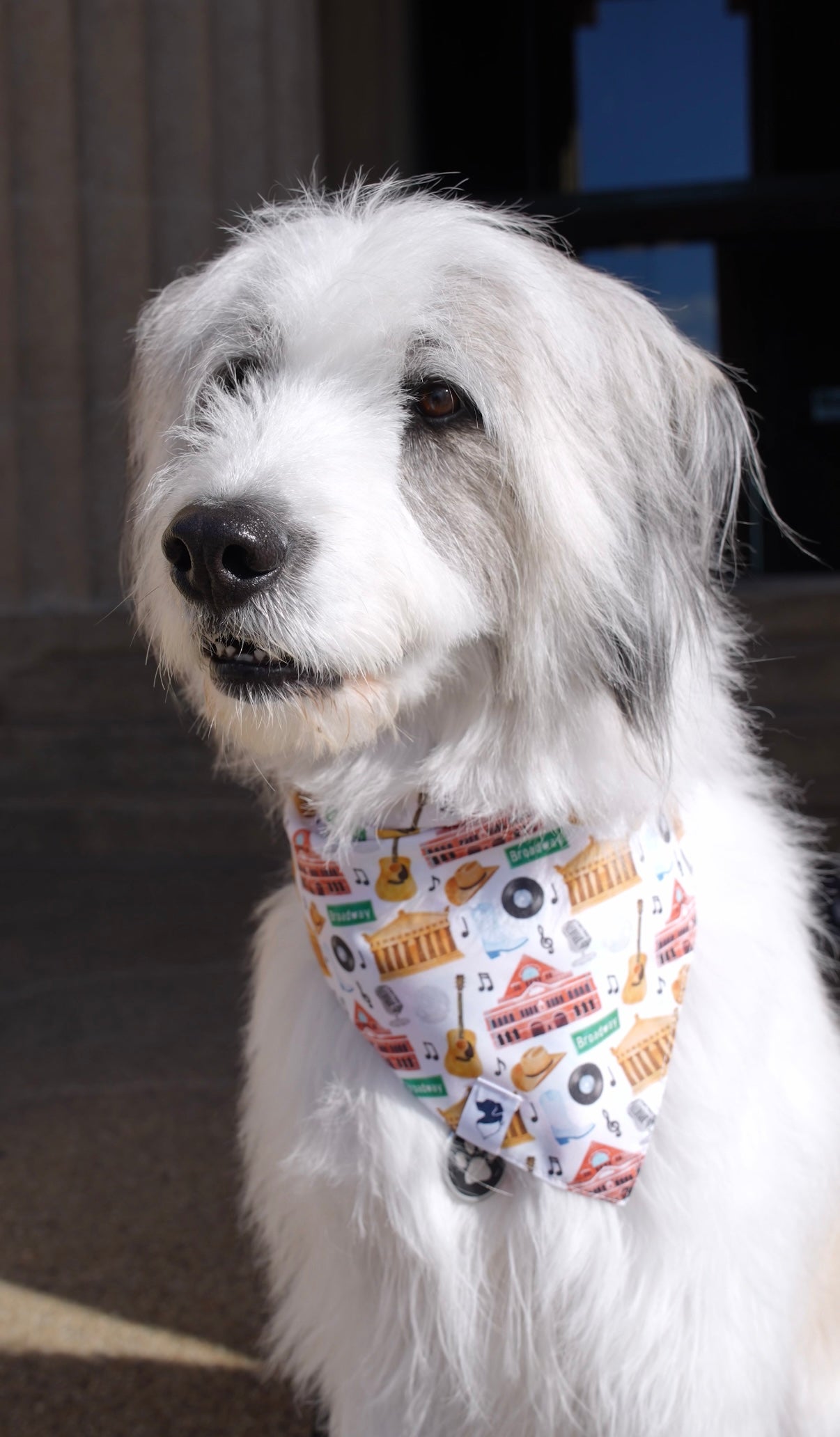 Nashville Tennessee Dog Bandana