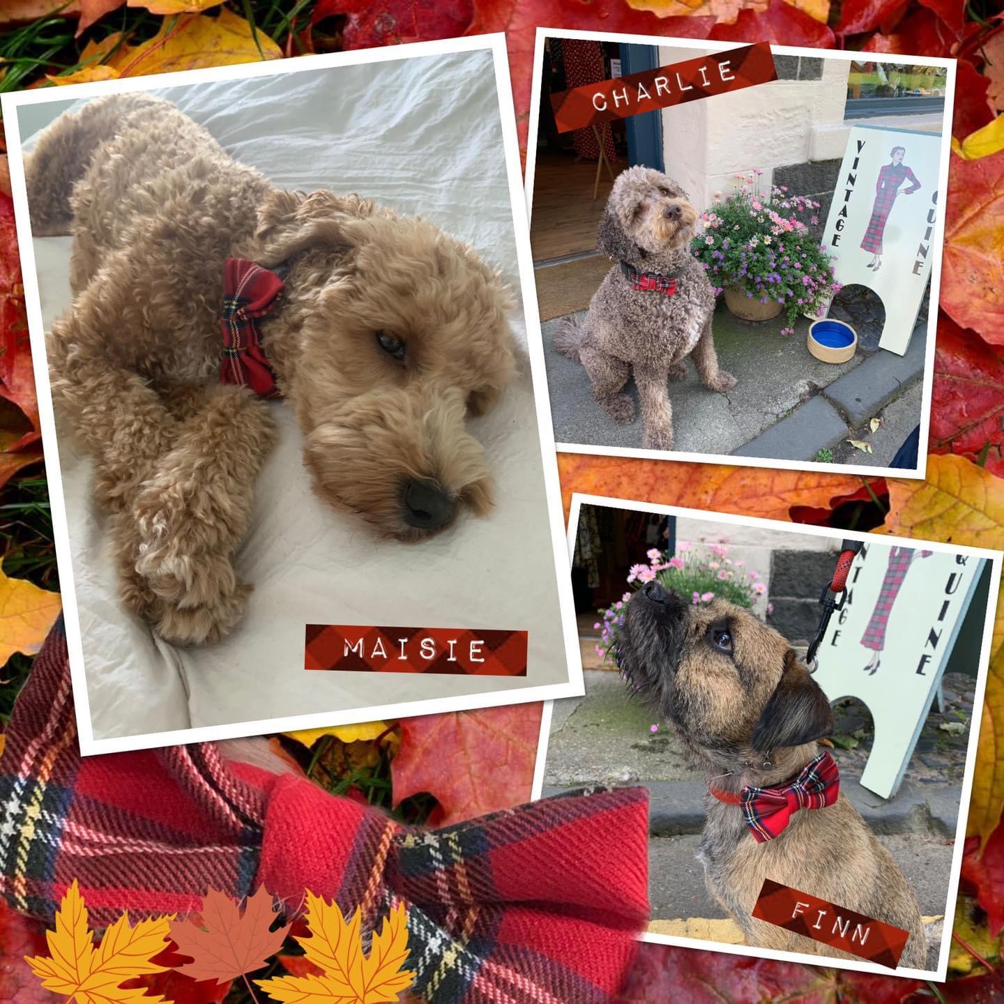 Regal Red Tartan Dog Bow Tie