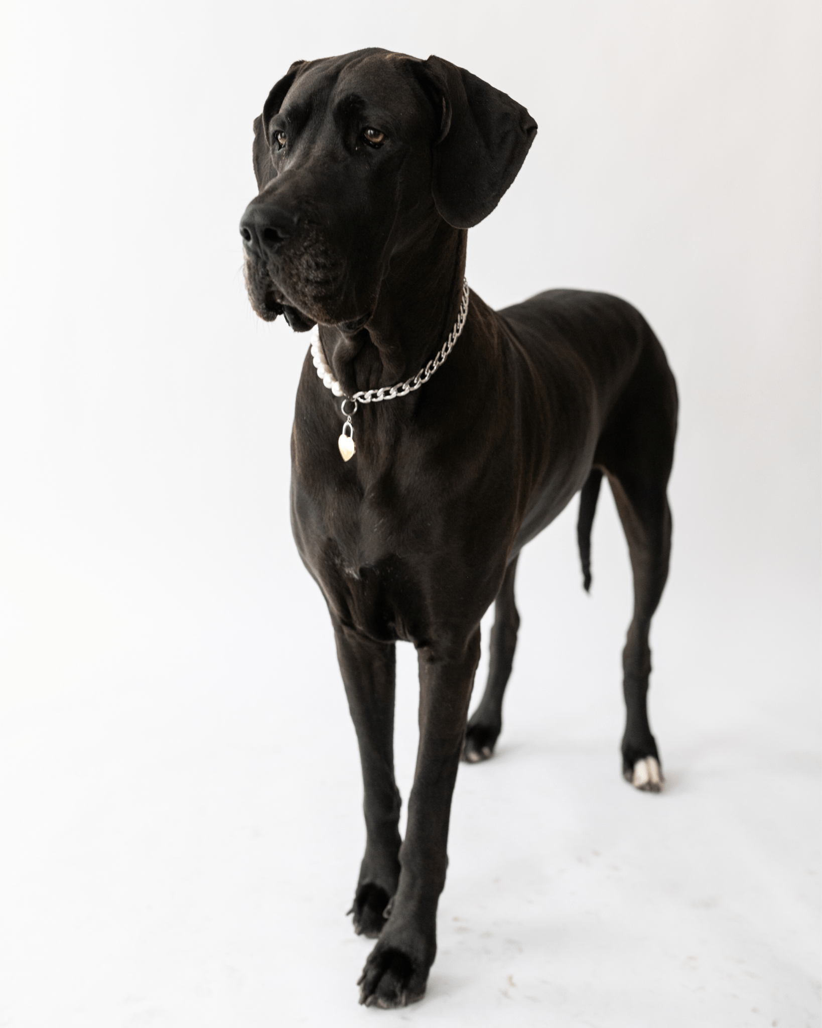 The Lola Necklace