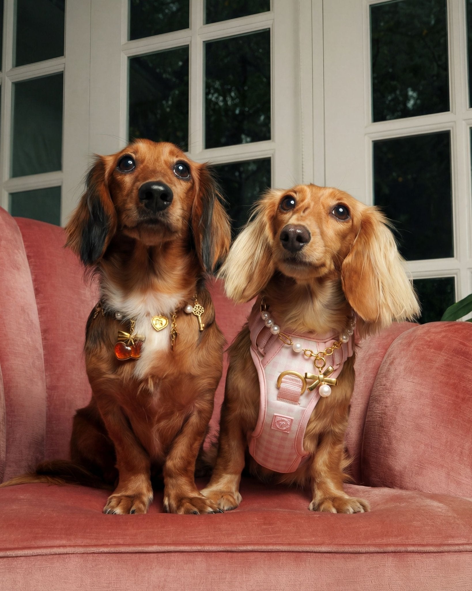 Wander! Bow Harness Kit Blossom Gingham