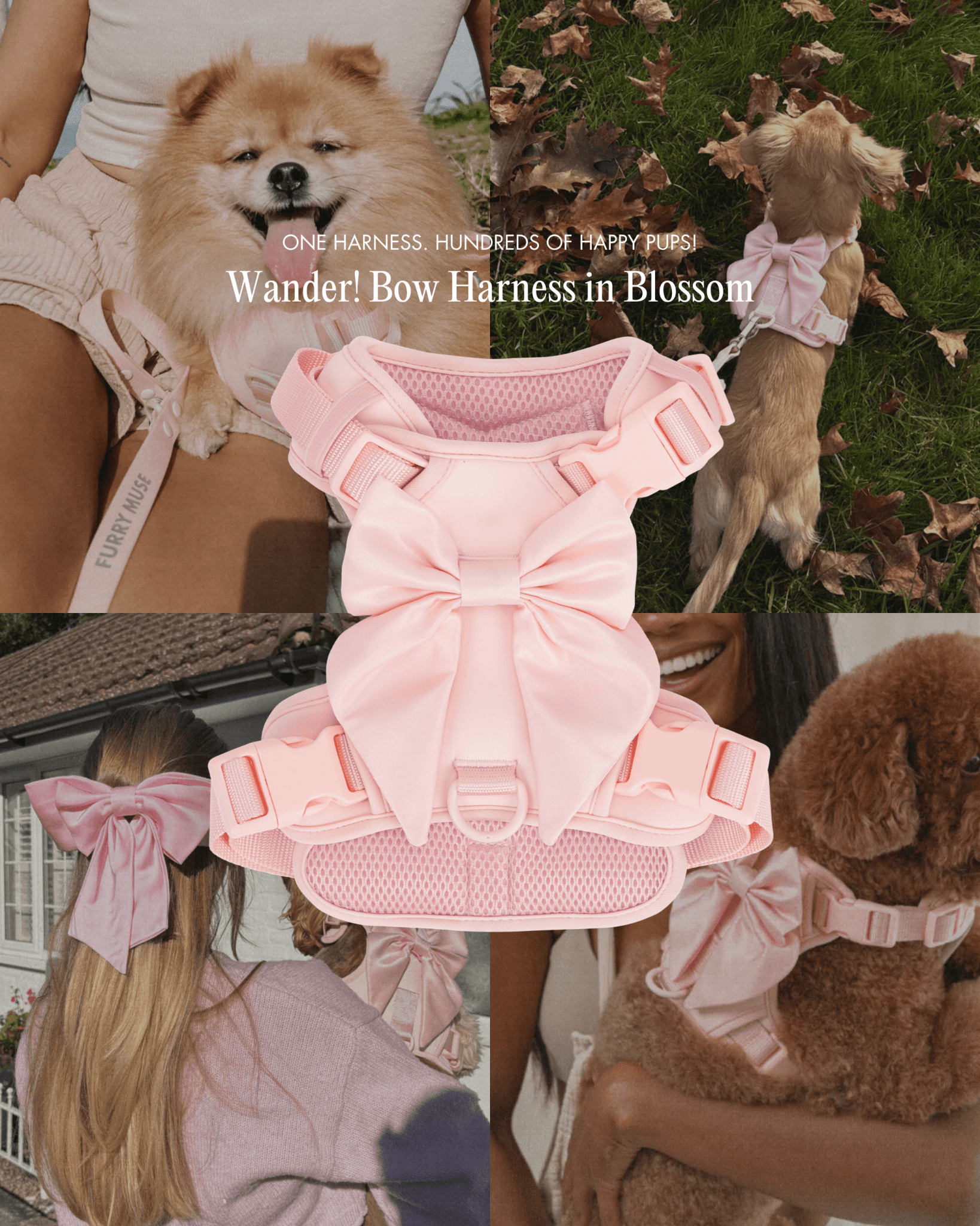 Wander! Bow Harness Kit Blossom - Silver