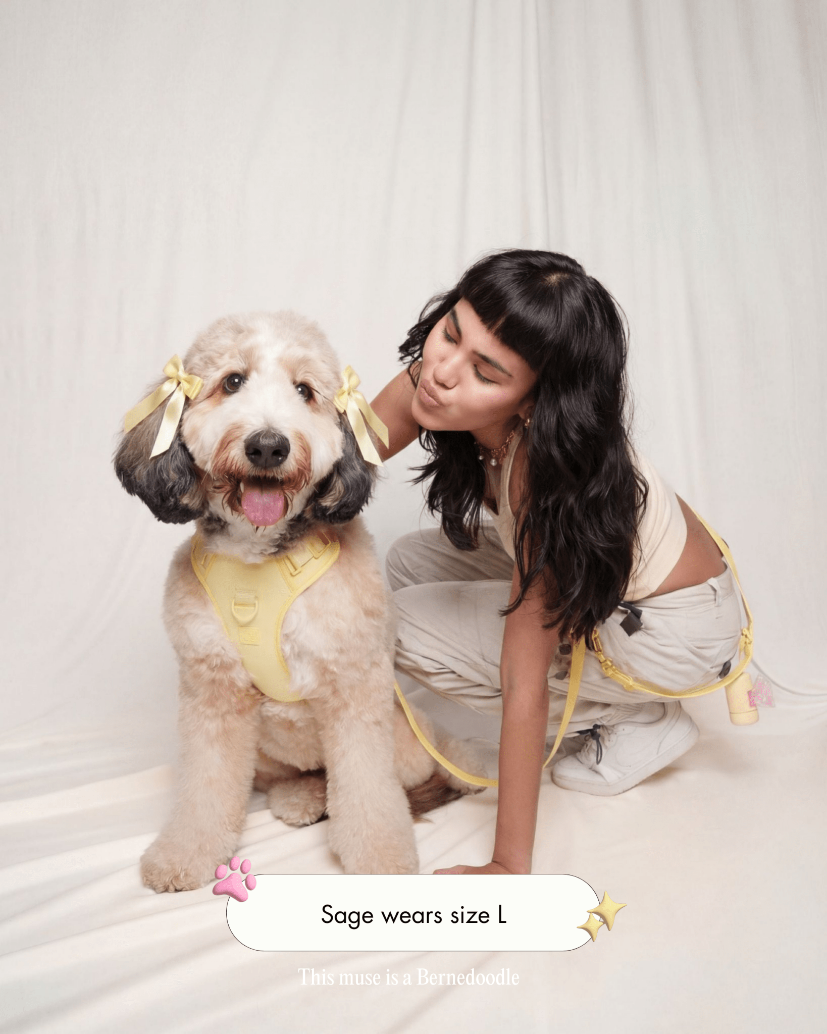 Wander! Bow Harness Kit Buttercream