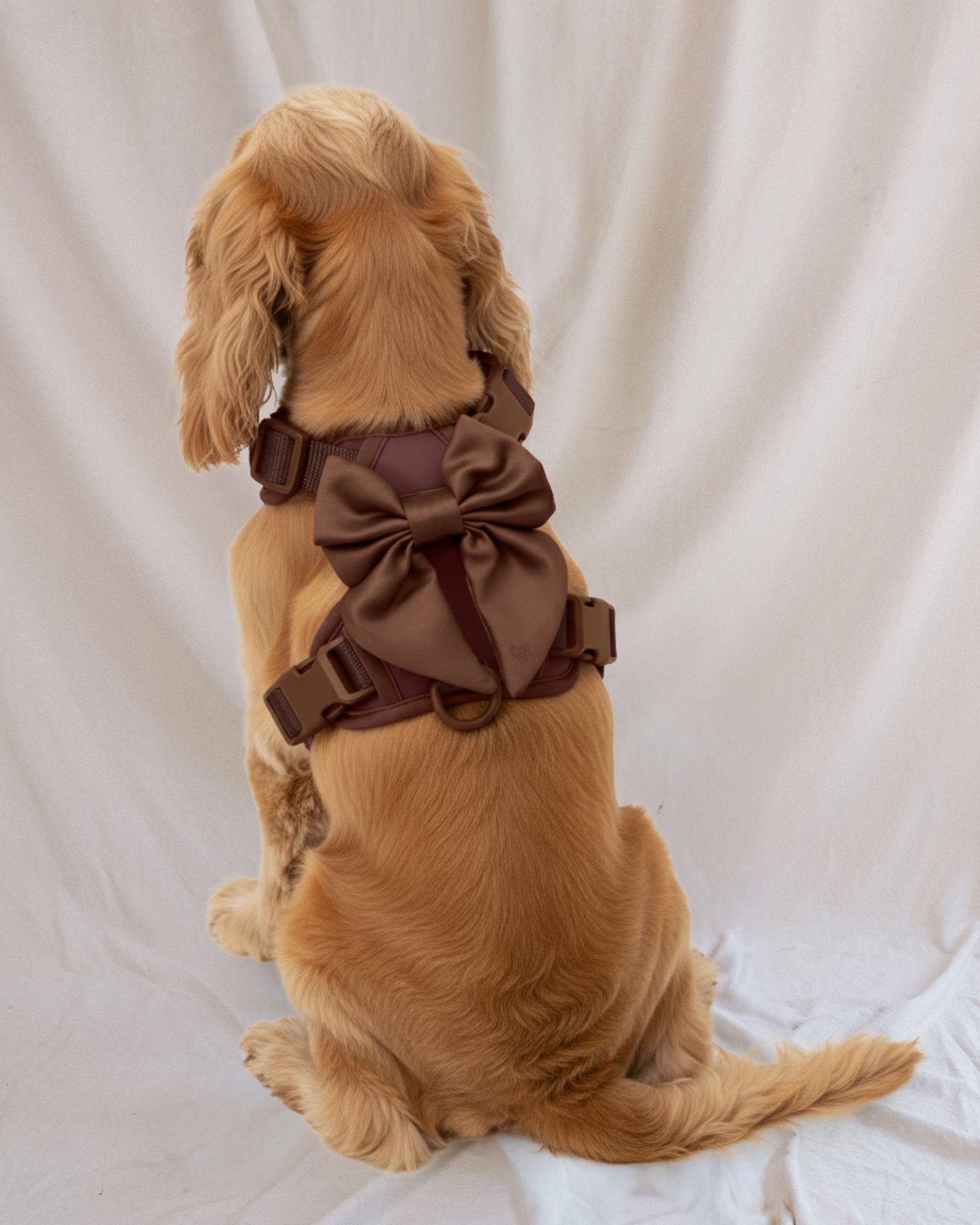 Wander! Bow Harness Kit Cocoa