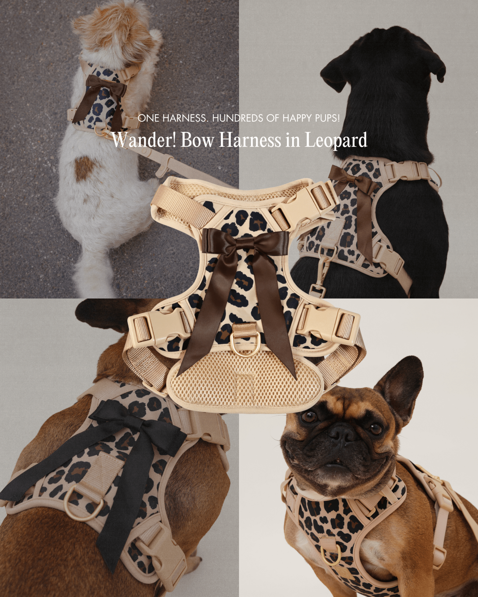 Wander! Bow Harness Kit Leopard