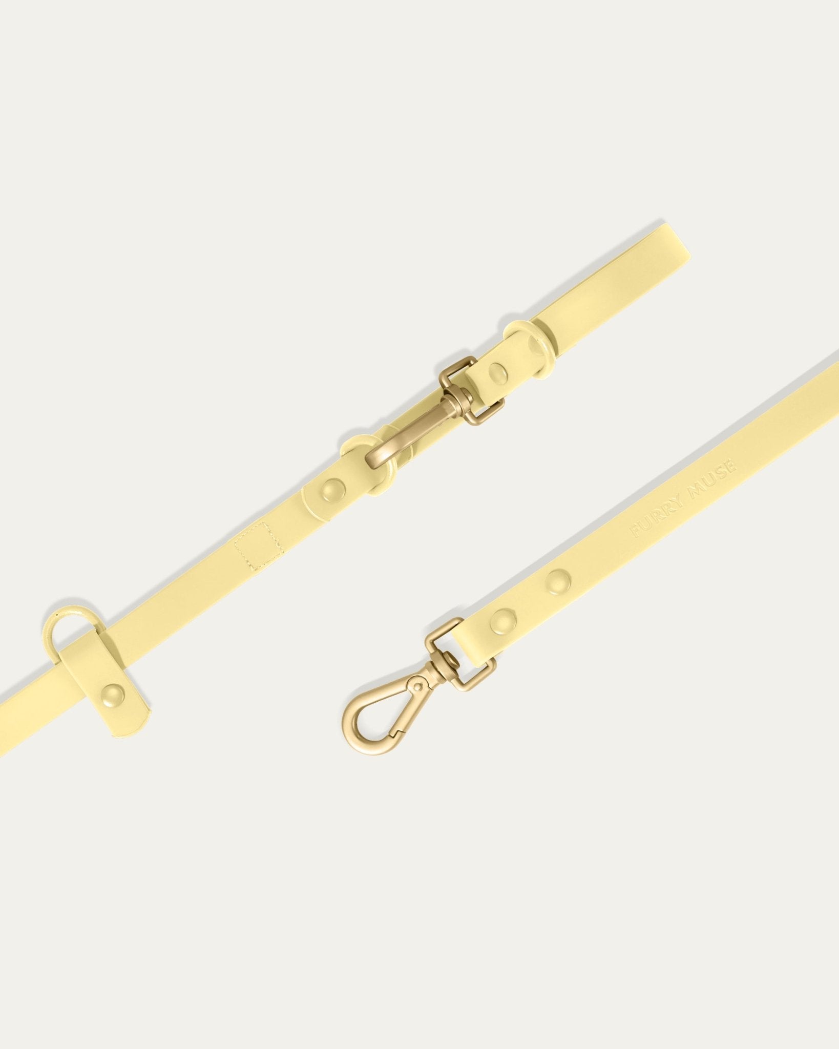 Wander! Collar Kit - Buttercream