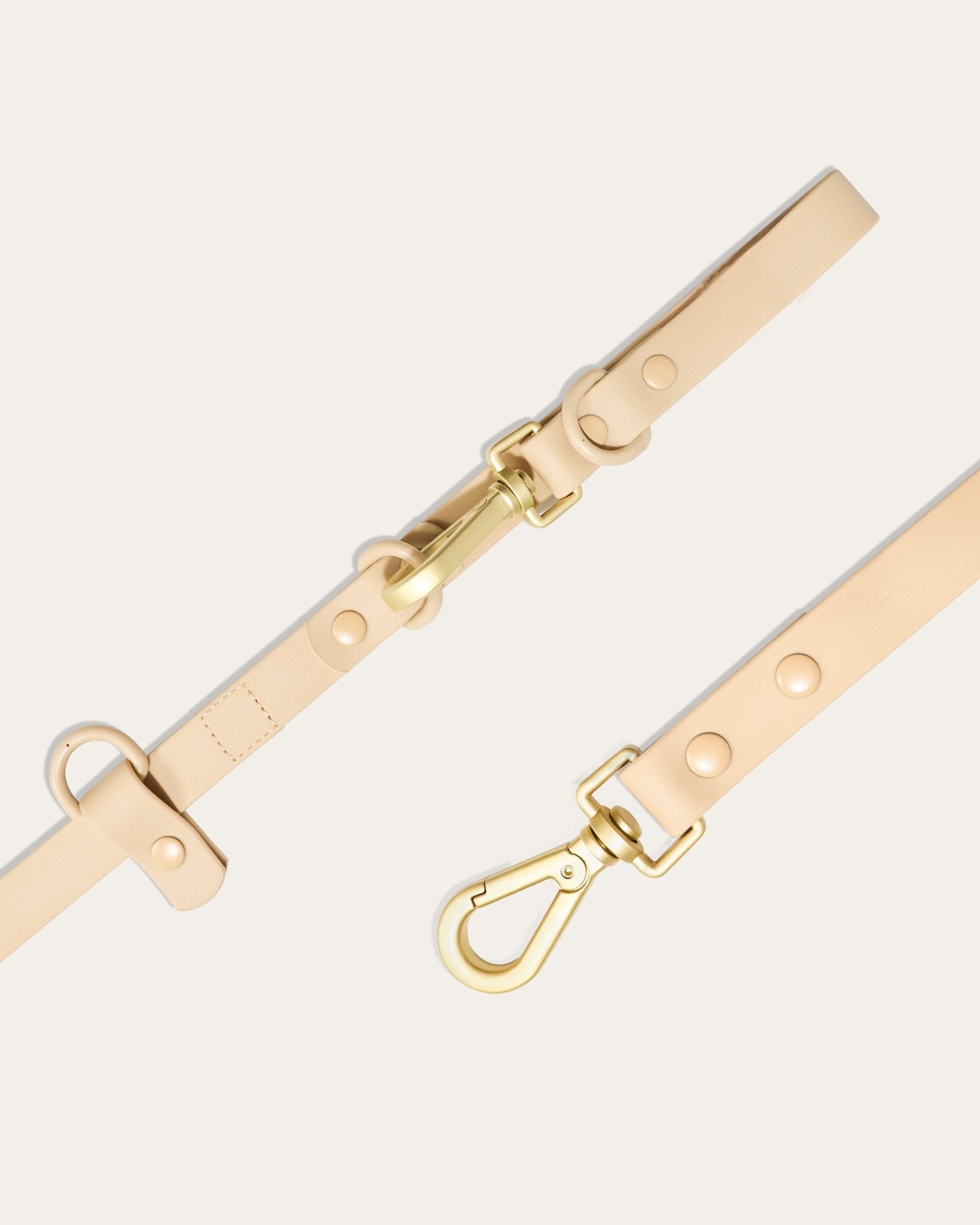 Wander! Collar Kit - Latte