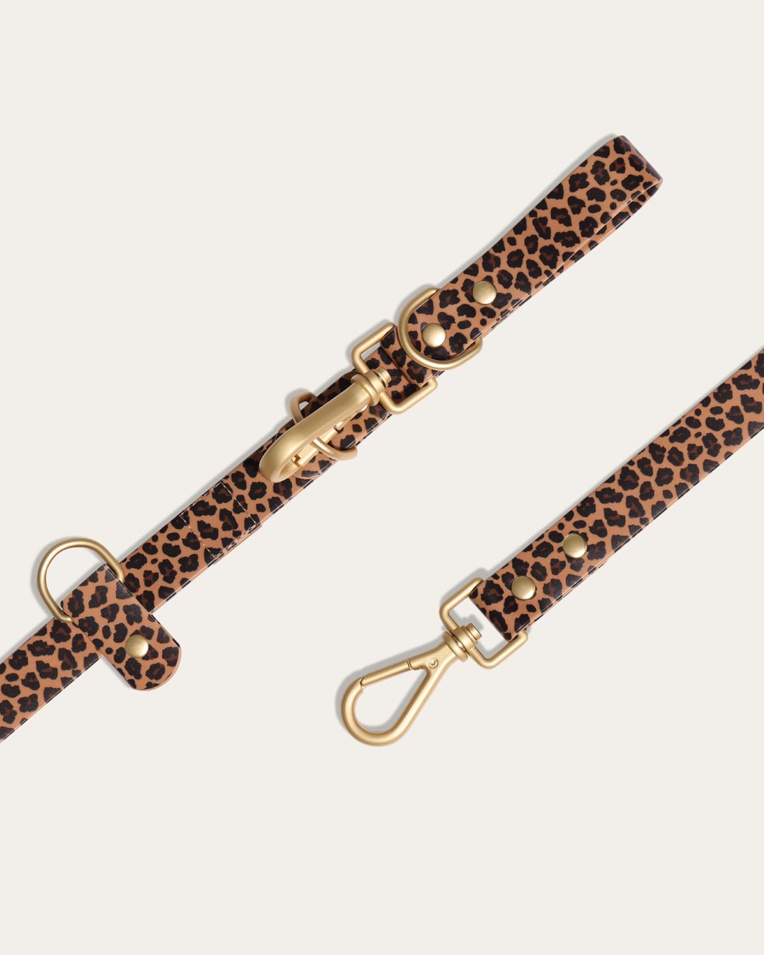 Wander! Collar Kit - Leopard