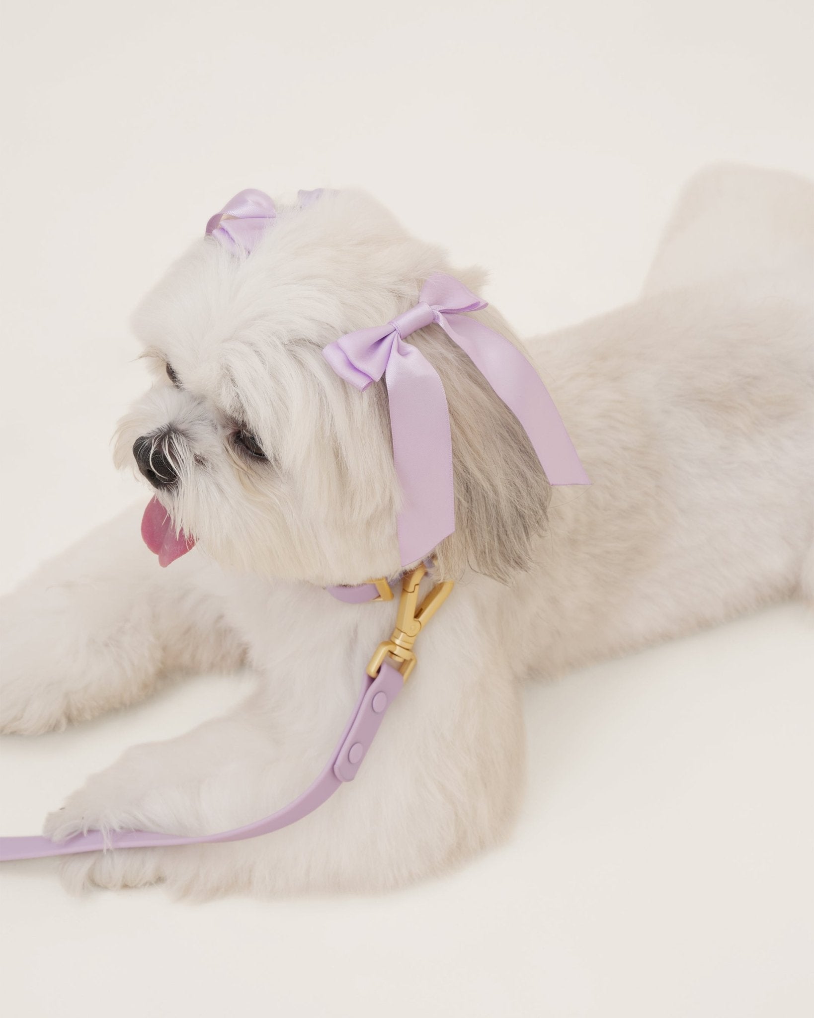 Wander! Collar Kit - Lilac