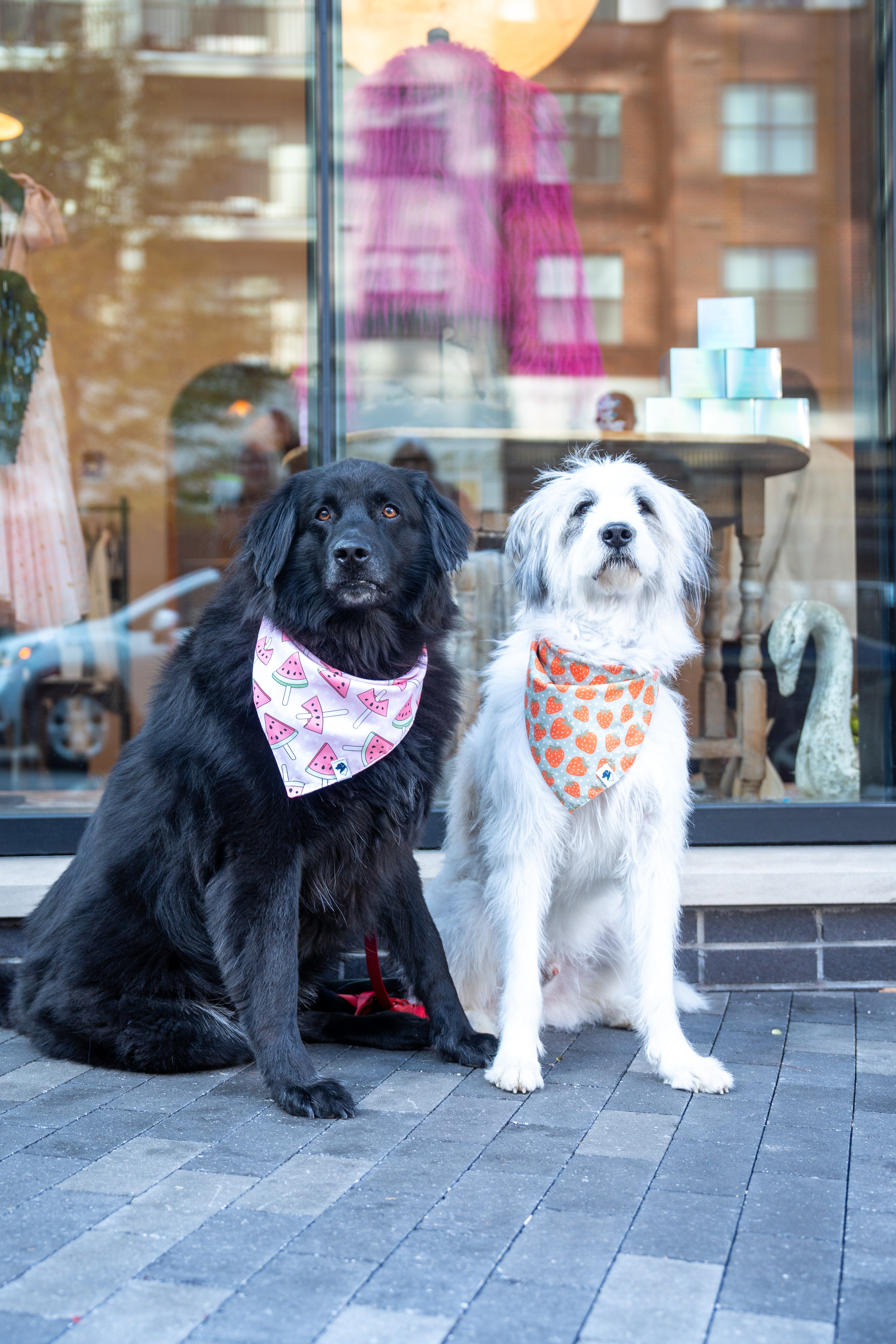 Watermelon &amp; Strawberry Dog Bandana
