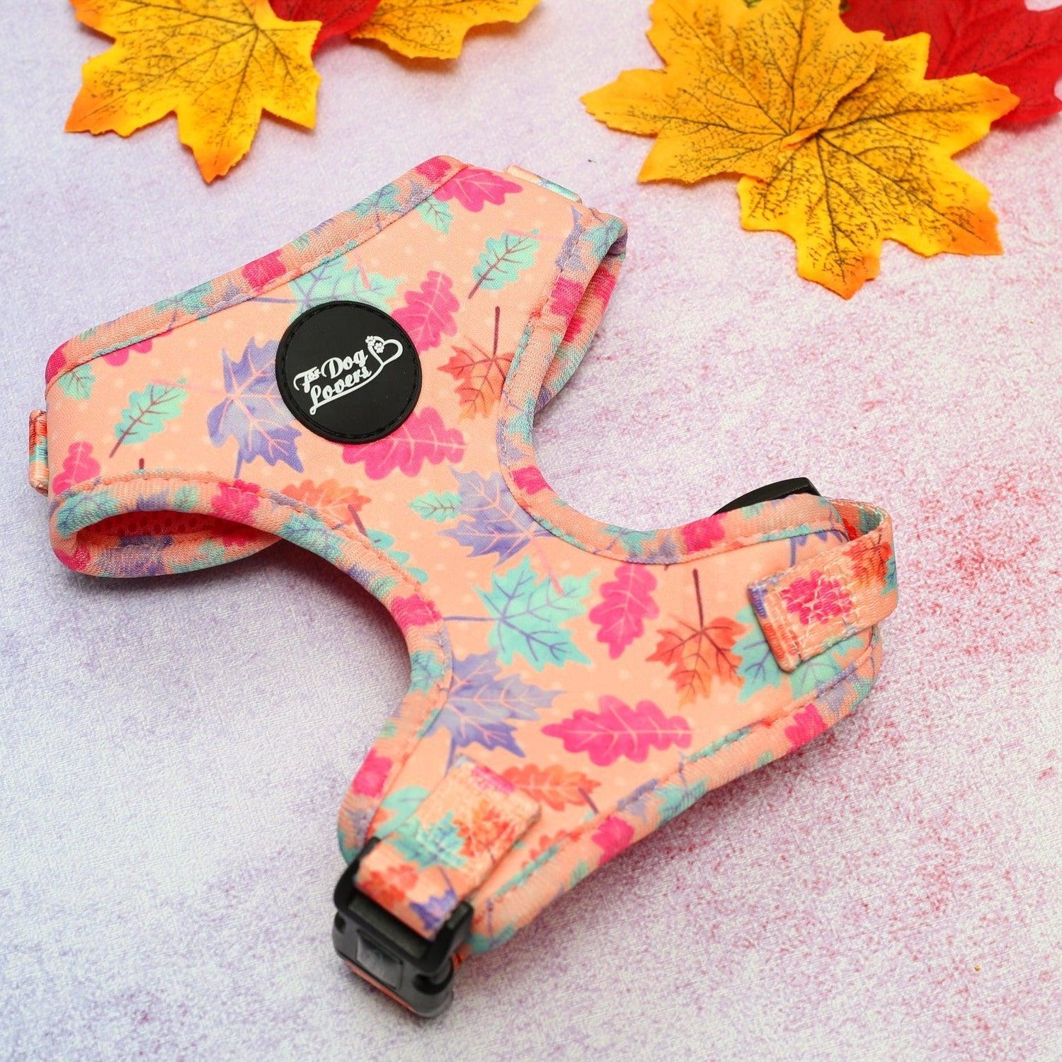 Adjustable Dog Harness - Fall In Love