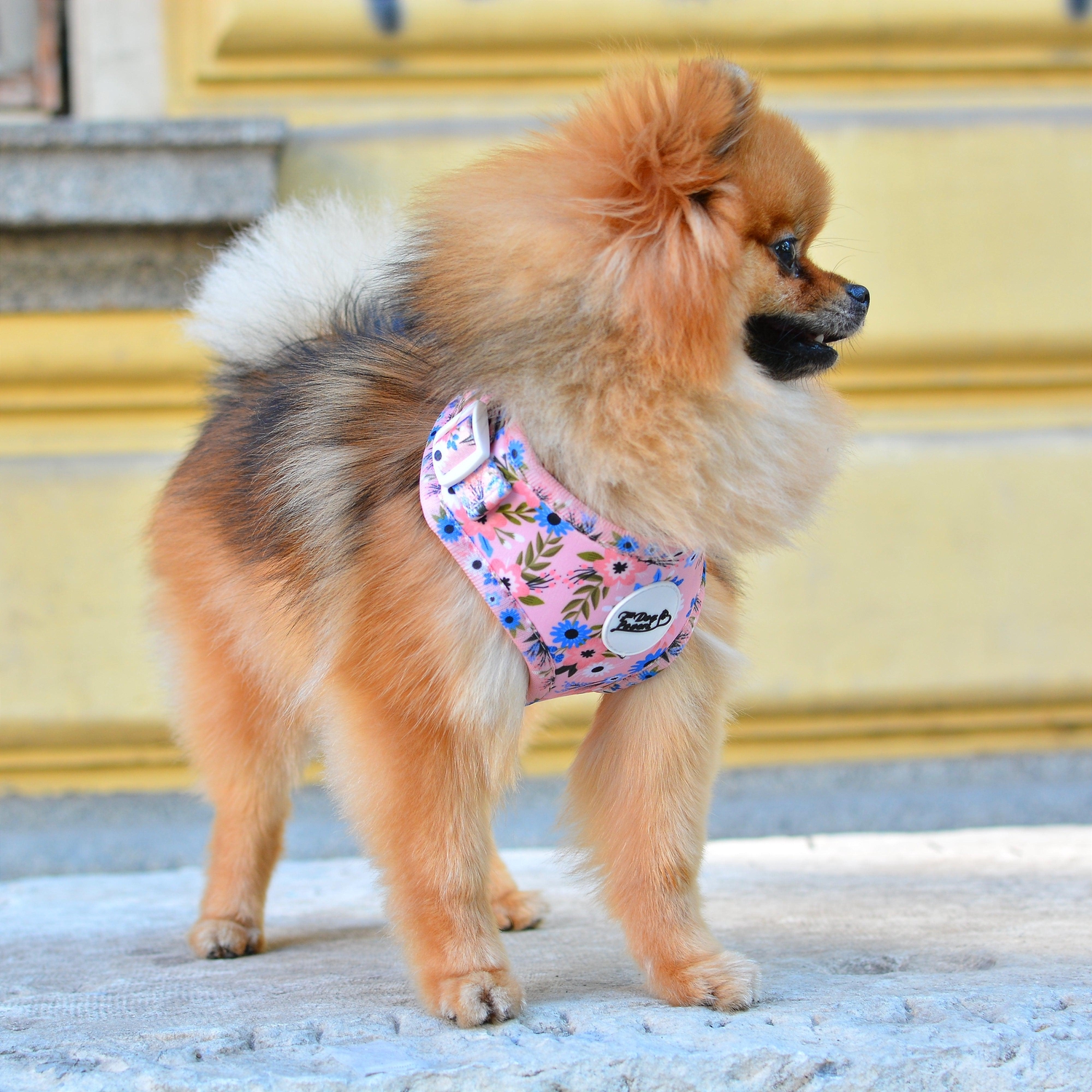 Adjustable Dog Harness - Flower Child