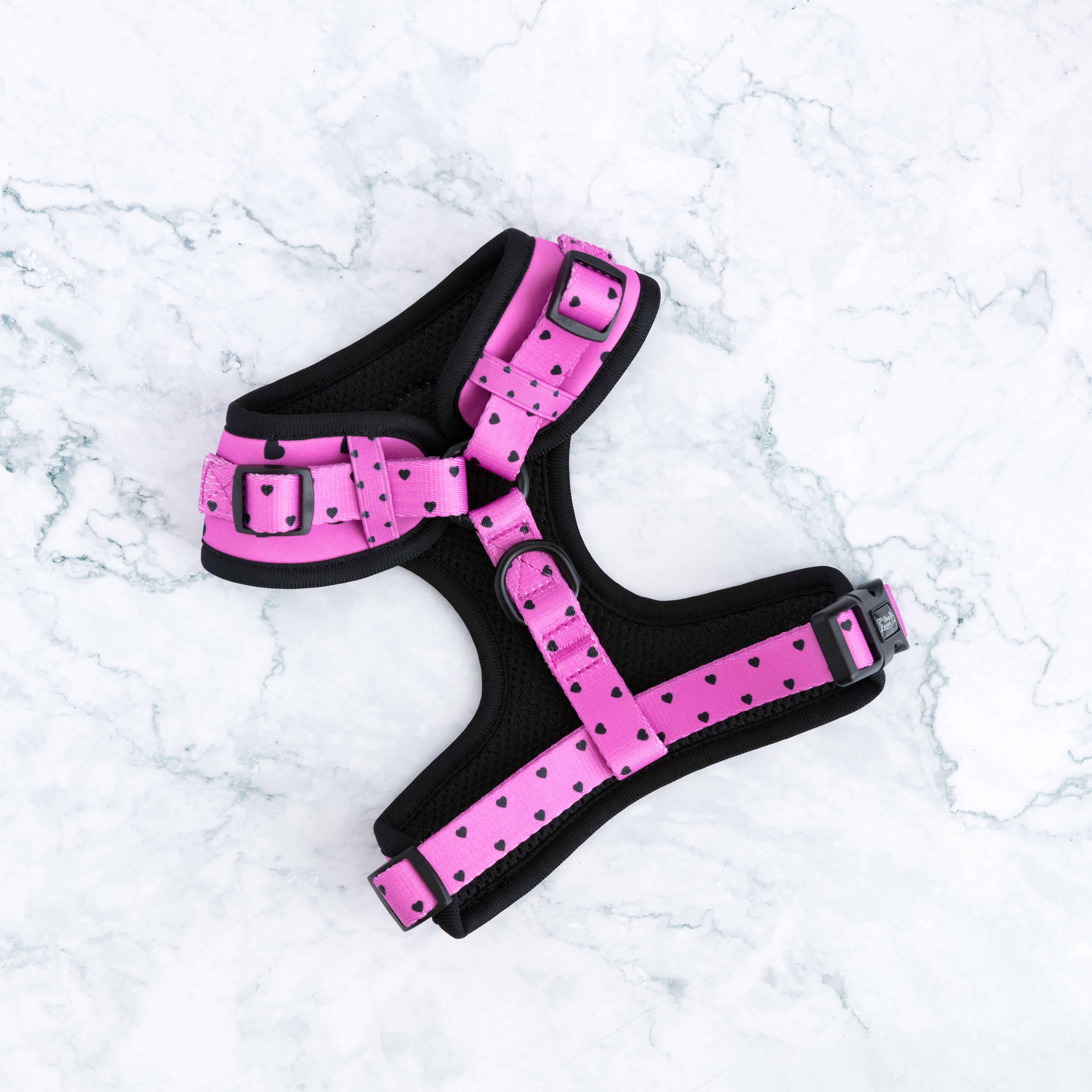 Adjustable Dog Harness - Follow Your Heart