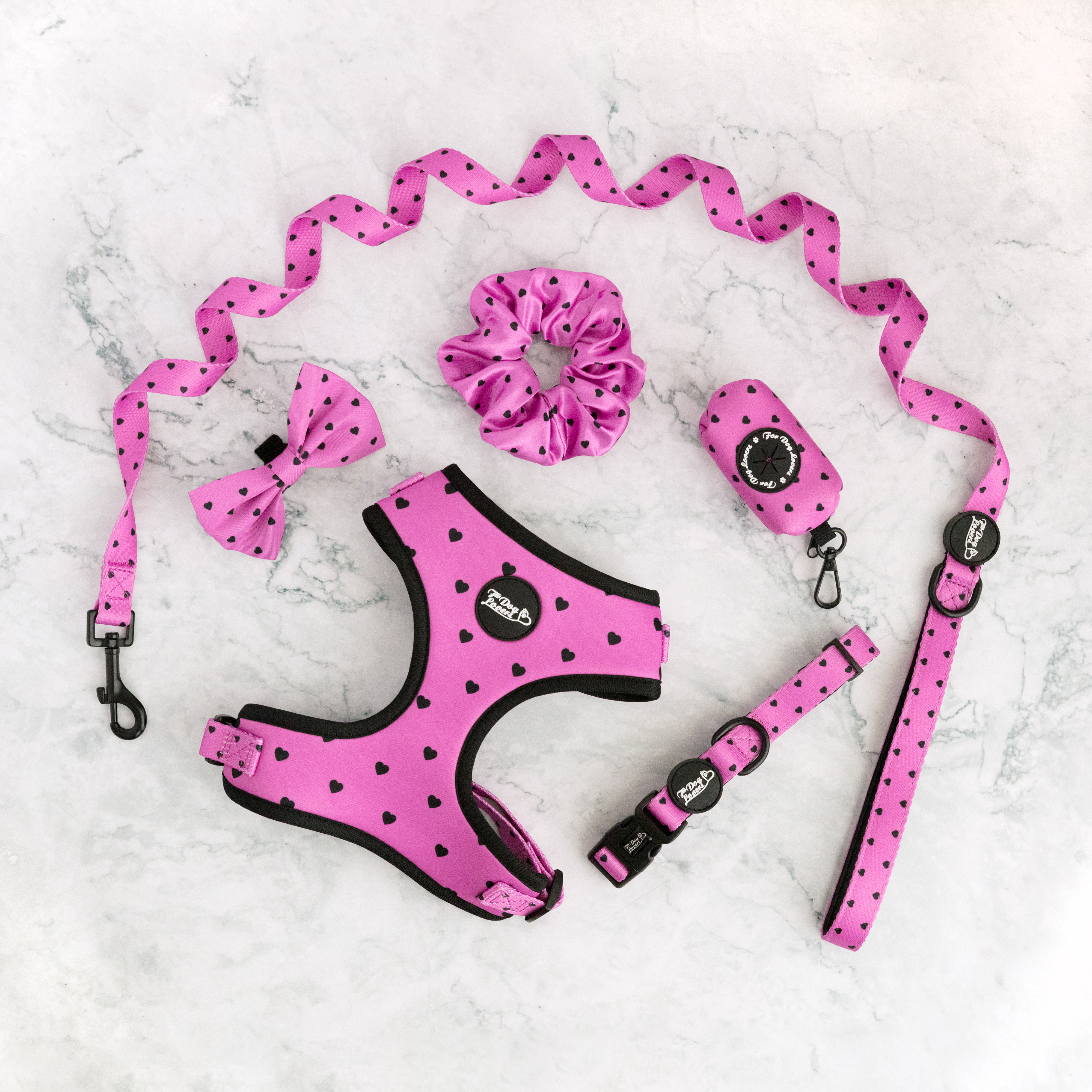 Adjustable Dog Harness - Follow Your Heart