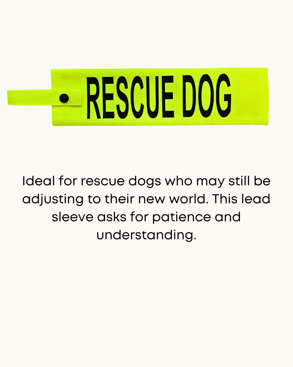 Awareness Dog Lead Sleeve