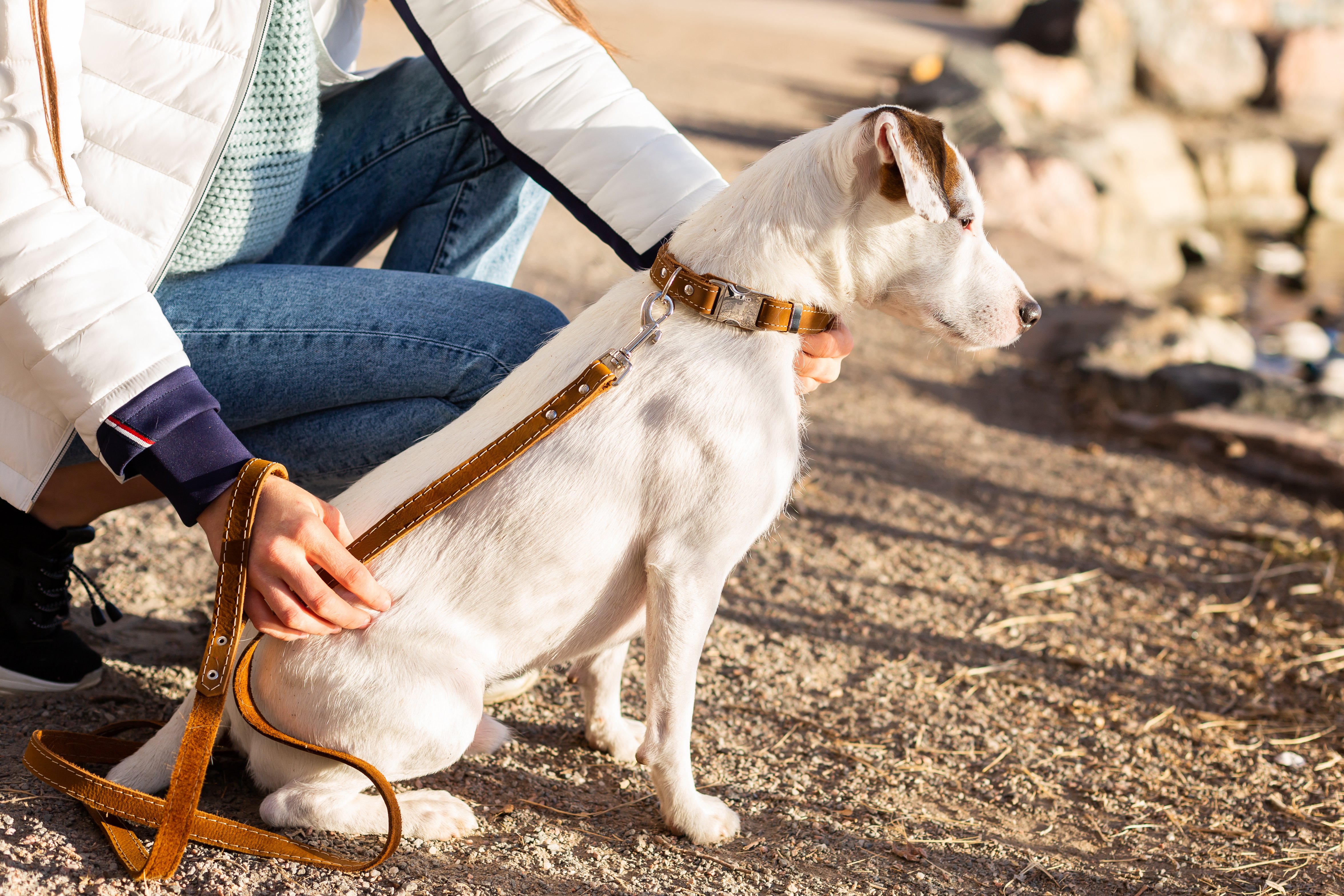 Bark Brown Quick-Release Dog Collar