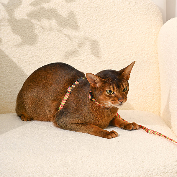 Cat Harness &amp; Leash Set — Fish