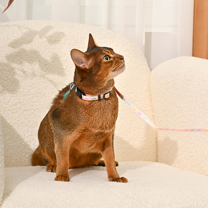 Cat Harness &amp; Leash Set — Fish