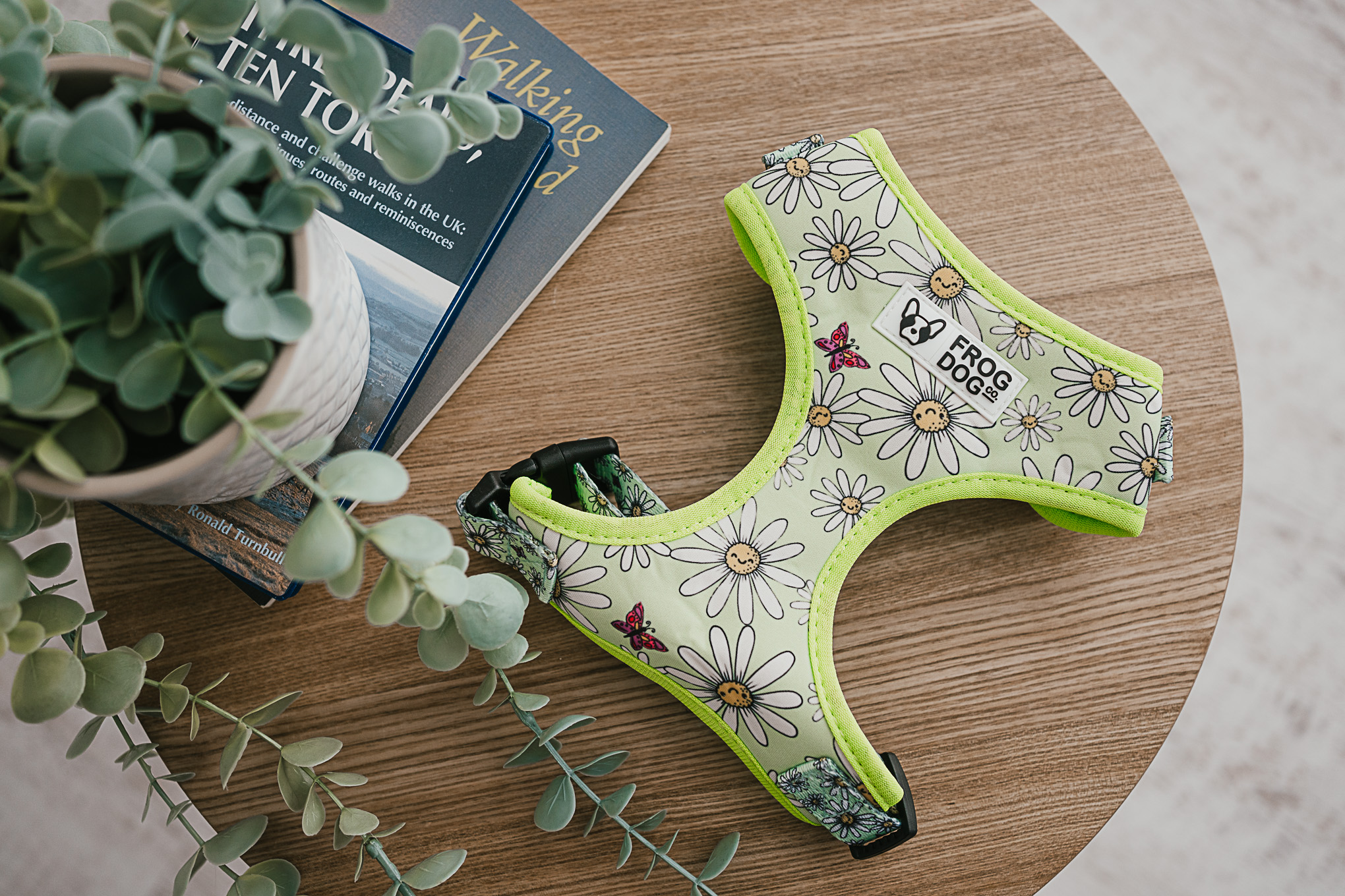 Comfy-Wear Adjustable Dog Harness - Daisy Days - MEDIUM