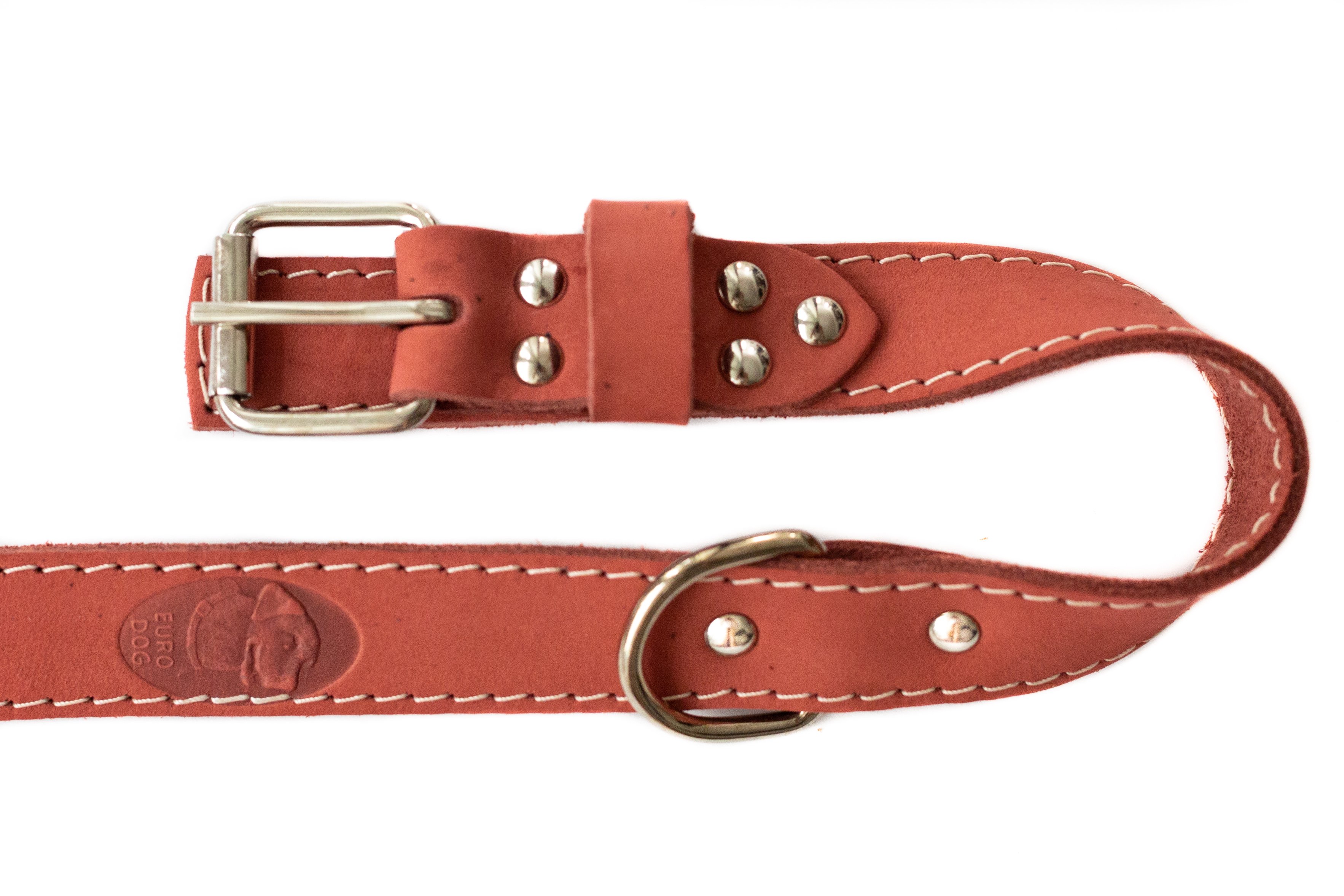 Coral Traditional Dog Collar