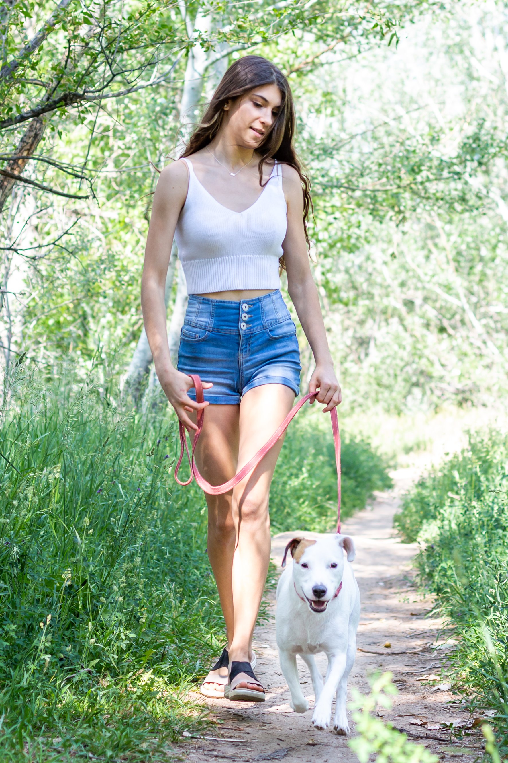 Coral Traditional Dog Lead