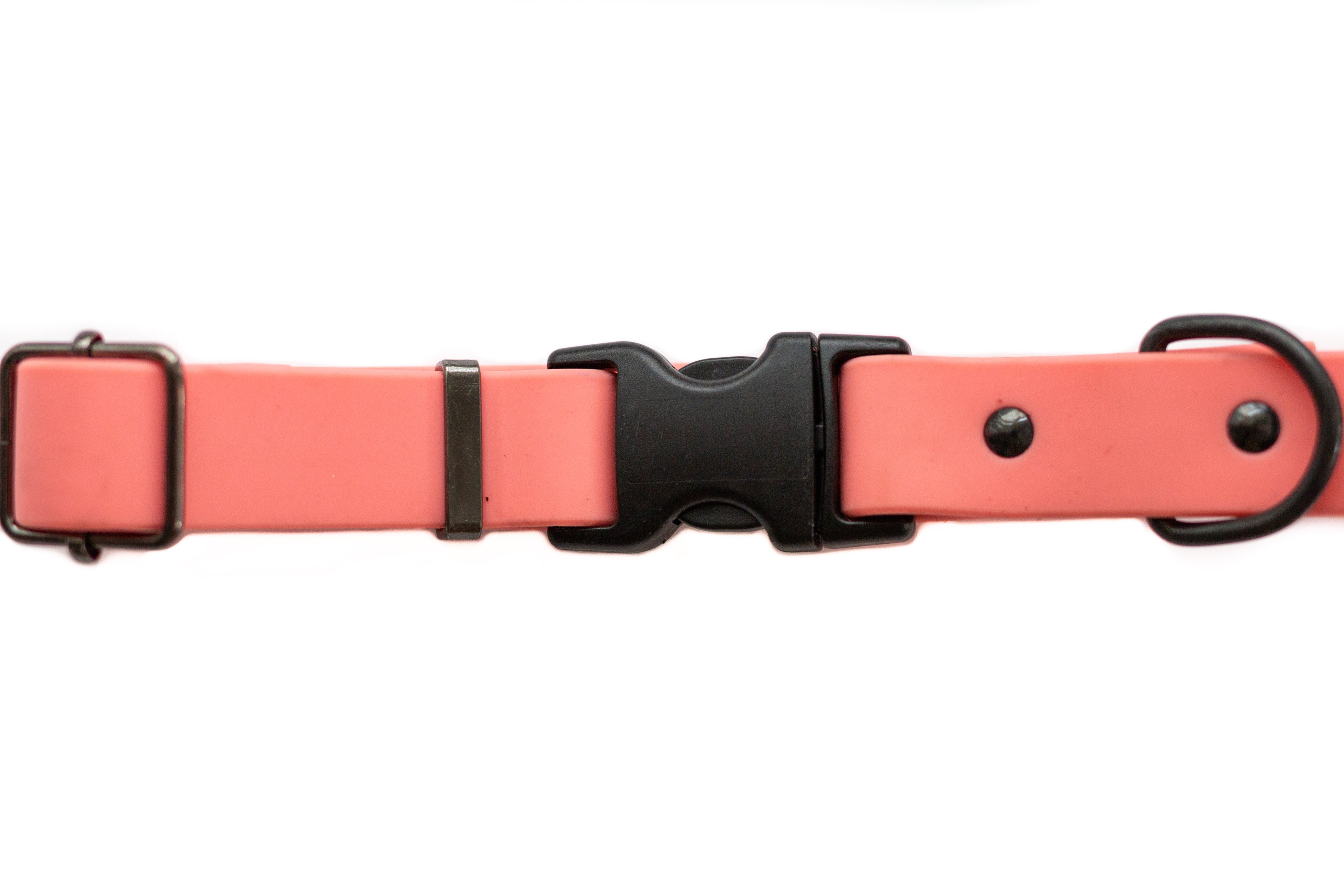Coral Waterproof Dog Collar