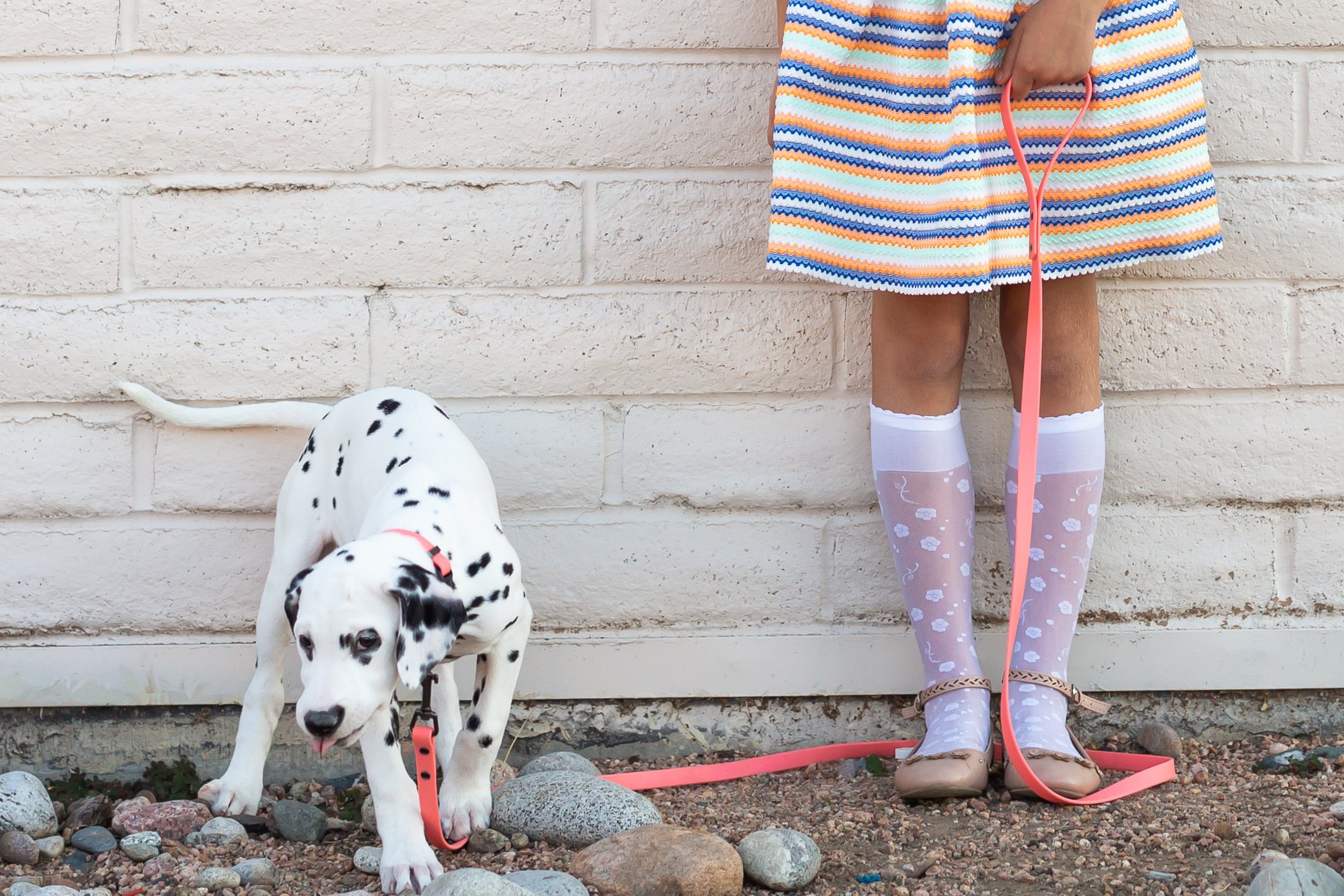 Coral Waterproof Dog Collar