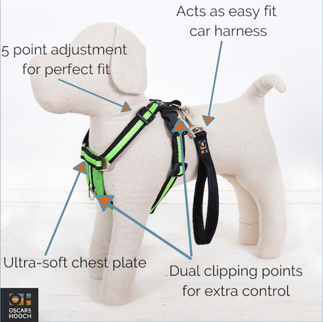 Dog Car Seat Belt Attachment